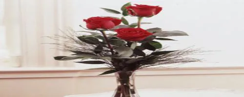 مناسبت ها