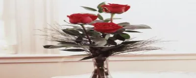 مناسبت ها